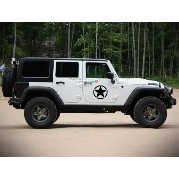 Autó oldaldísz matrica