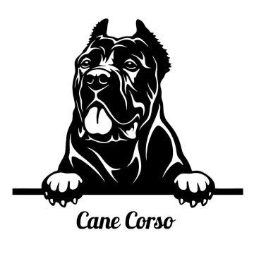 Cane corso matrica