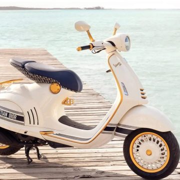 Vespa matrica