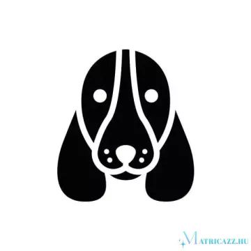 Basset hound matrica 2