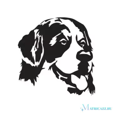 Berni pásztor matrica 1