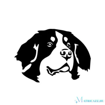 Berni pásztor matrica 3