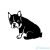 Boston terrier matrica 8