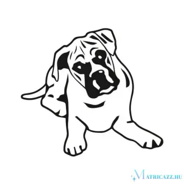 Boxer matrica 5