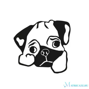 Boxer matrica 9