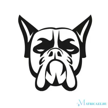 Boxer matrica 10