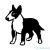 Bullterrier matrica 4