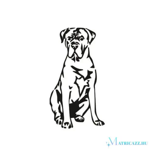 Cane corso matrica 4