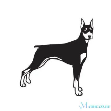 Dobermann matrica 12