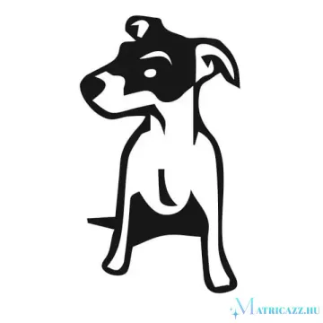 Jack russel terrier matrica 3
