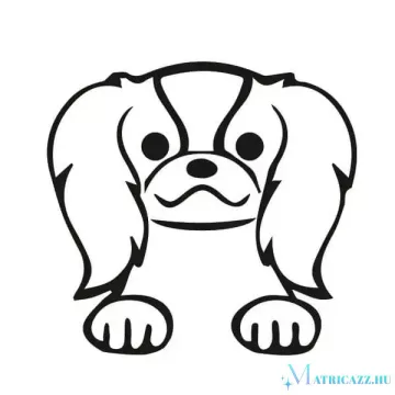 Japán csin matrica 2