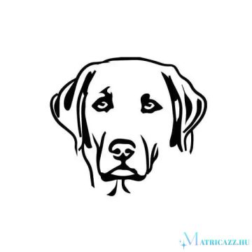 Labrador matrica 13