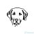 Labrador matrica 13
