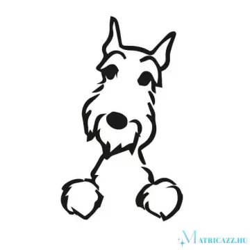 Schnauzer matrica 4