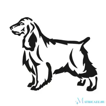 Spániel matrica 4