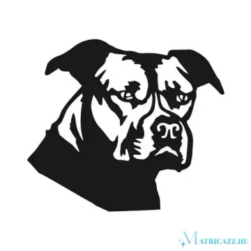 Amstaff matrica 1