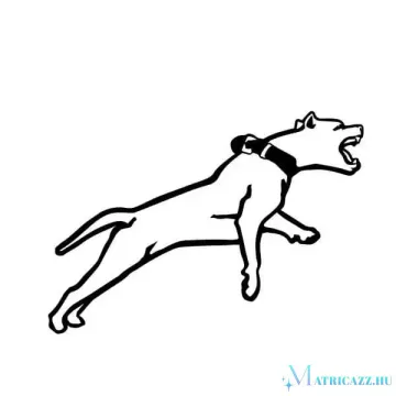 Amstaff matrica 3