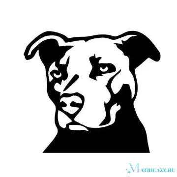Amstaff matrica 4