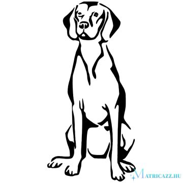 Vizsla matrica 3