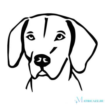 Vizsla matrica 9