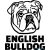 Angol bulldog matrica 4