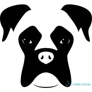 Boxer matrica 14
