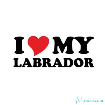 Labrador matrica 17