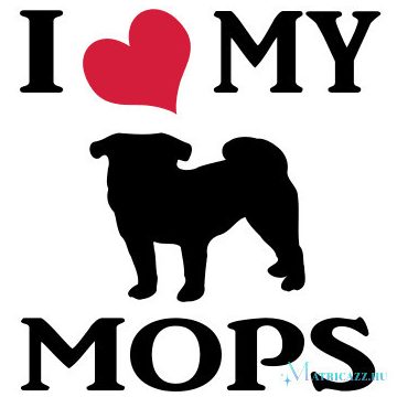 Mopsz matrica 24