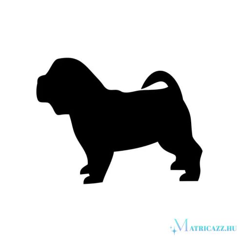 Shar pei matrica 12