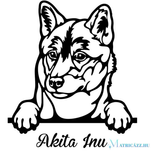 Akita inu matrica