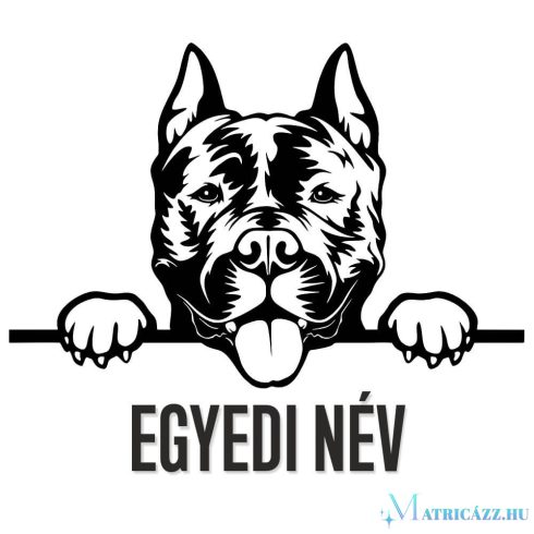 Amstaff egyedi névvel