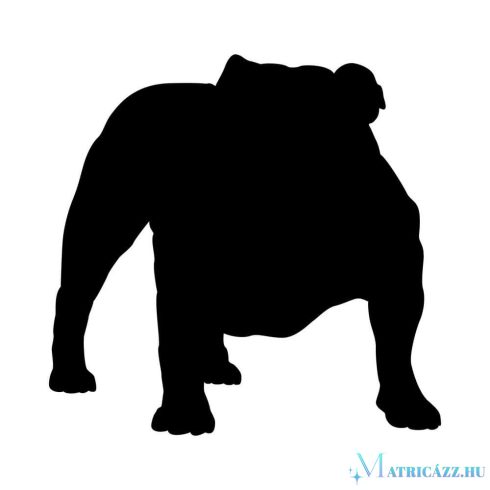 Angol bulldog matrica 28
