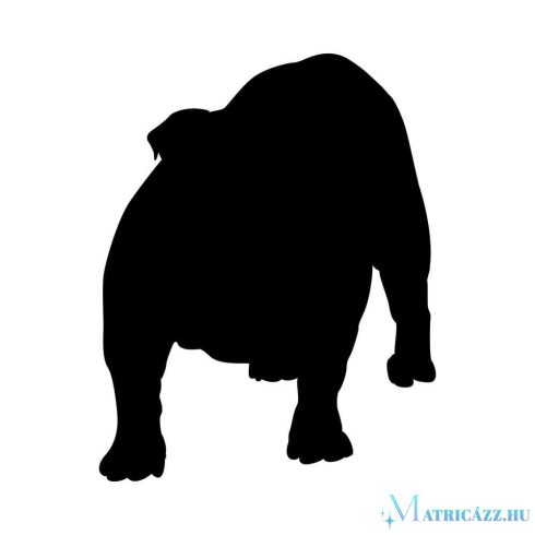 Angol bulldog matrica 29