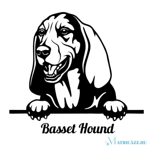 Basset hound matrica 30 cm