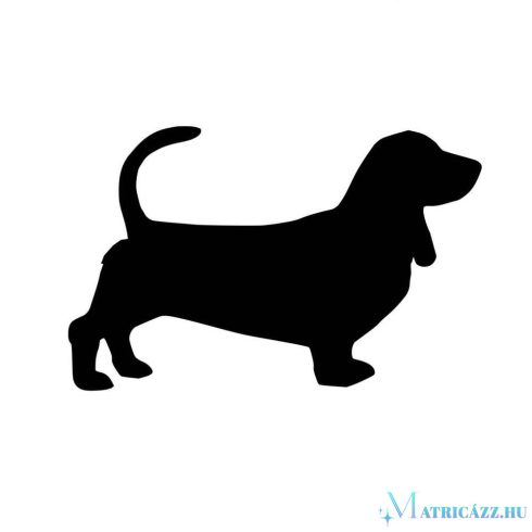 Basset hound matrica 9