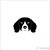 Beagle matrica 19