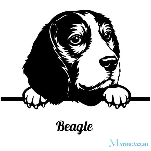 Beagle matrica 30 cm