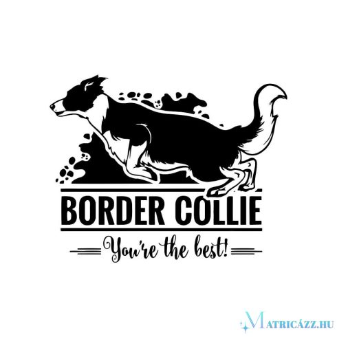 Border collie matrica 30 cm