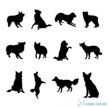 Border collie matrica szett