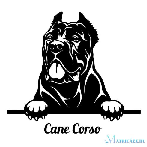 Díszes Cane corso matrica