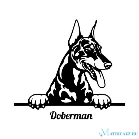 Díszes Dobermann matrica