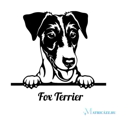 Foxterrier matrica 10