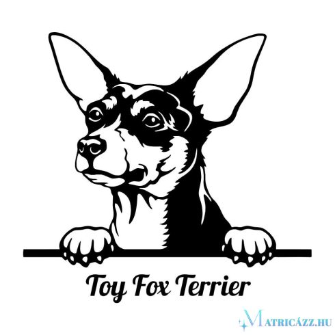 Toy Fox terrier matrica