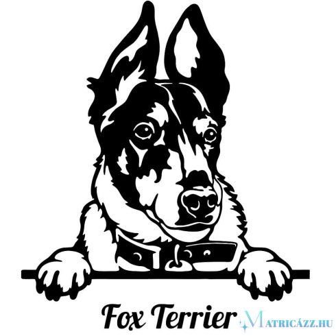 Fox terrier matrica