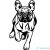 Francia bulldog matrica 25