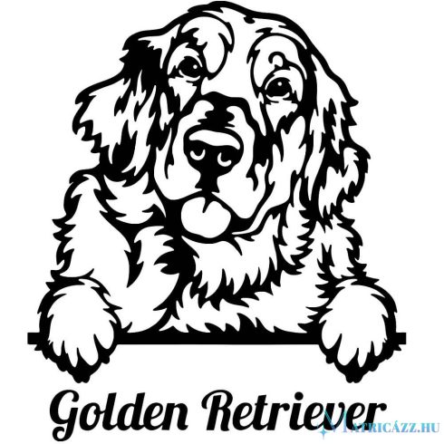Golden retriever matrica 13
