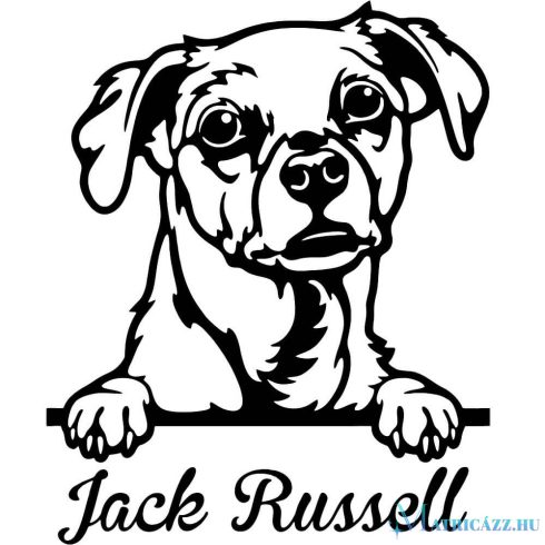 Jack russel matrica 12