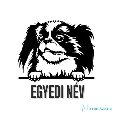 Egyedi neves Japán csin matrica