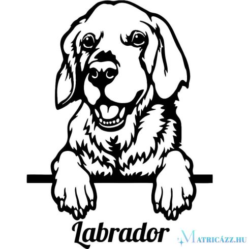 Labrador matrica 22