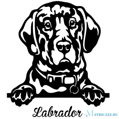 Labrador matrica 23